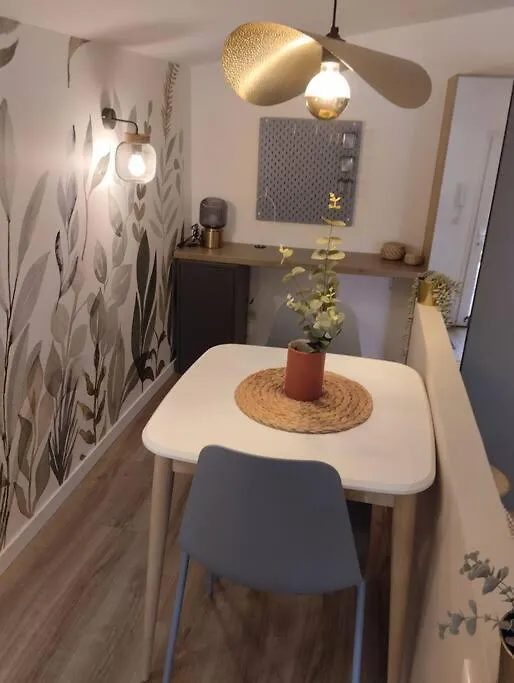 Les Salenques Apartment Toulouse